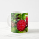 Recherche de mûre tasses Rouge