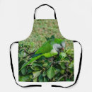 Recherche de perroquet vert tabliers Nature