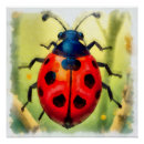 Recherche de de coccinelle posters Insecte