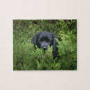 Recherche de laboratoire puzzles Mignon