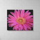 Recherche de gerber impressions sur toile Rose