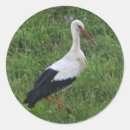 Recherche de migration autocollants Oiseau