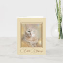 Recherche de chat heureux pâques cartes invitations Chaton
