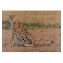 Recherche de animaux sauvages planches à découper Taches de guépard