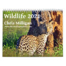 Recherche de baleine calendriers Nature