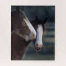 Recherche de cheval de clydesdale puzzles Race