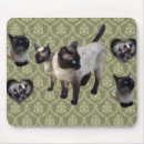 Recherche de siamois tapis souris Kawaii