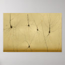 Recherche de neurones posters Humain