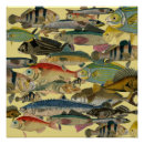 Recherche de pêche posters Pêche en haute mer