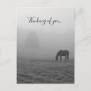 Recherche de niveaux cartes postales Toute personne