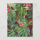 Recherche de plantes tropicales cartes postales Feuille