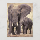 Recherche de habitat cartes postales Nature