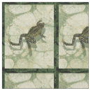Recherche de grenouille loisirs créatifs Crapaud