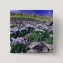 Recherche de alpine badges Montagne