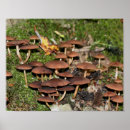 Recherche de en brune bois posters Pour elle