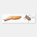 Recherche de lingot Insectes