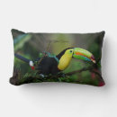 Recherche de facture coussins Oiseau