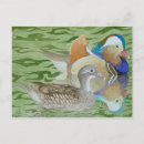 Recherche de mandarine cartes postales Aquarelle