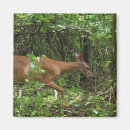 Recherche de balade magnets Vert