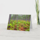 Recherche de le cap vert cartes postales Province du cap oriental