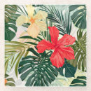 Recherche de plantes dessous de verres Hawaïen