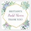 Recherche de succulent autocollants Plante