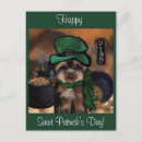 Recherche de poo cartes postales Yorkie poo de vacances