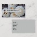 Recherche de spore cartes visite Champignon