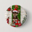 Recherche de chihuahua badges Noël