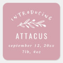 Recherche de tirex autocollants Pour elle