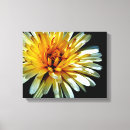 Recherche de calendula art Marigold