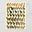Recherche de diagrammes cartes postales Illustration