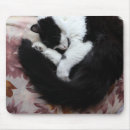 Recherche de chat noir blanc tapis souris Tuxedo