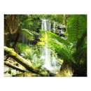 Recherche de cascades posters Forêt tropicale