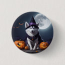 Recherche de husky badges Coquin