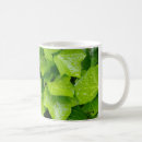 Recherche de feuille de lierre tasses Nature