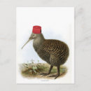 Recherche de kiwi bird cartes postales Pour tous