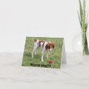 Recherche de voulez jouer Chiot