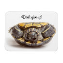 Recherche de tortue magnets Animal