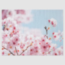 Recherche de cherry blossom tissue paper Découpage