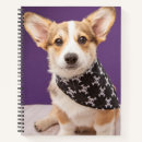 Recherche de corgi carnets Canine