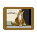 Recherche de chat tigré magnets Drôle