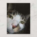 Recherche de yo yo posters Drôle