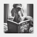 Recherche de weimaraner magnete Chiot