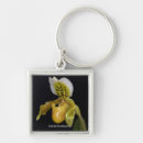 Recherche de paphiopedilum Fleurs