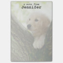 Recherche de labrador retriever photographie Animaux