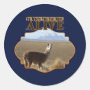 Recherche de llama autocollants Travel
