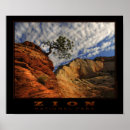 Recherche de canyon de zion posters Arbre