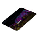Recherche de autoroute magnets Nature