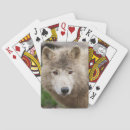 Recherche de loup blanc jeux de cartes Animal